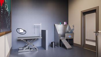 Self-serve dog spa
